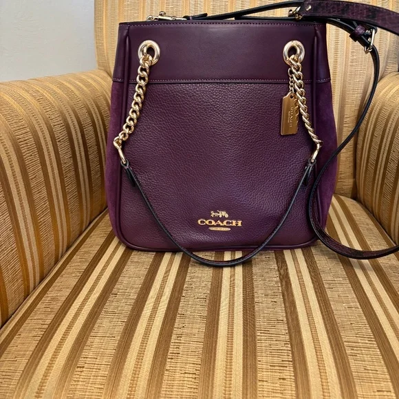 Coach Sammie Chain Bucket Bag - Picture 1 of 4